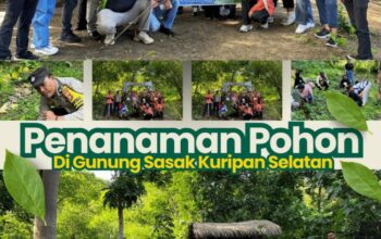 Penanaman Pohon DiGunung Sasak, UPTB UPPRD Samsat Gerung dan Desa Kuripan Selatan Serta Karang Taruna Dukung Program Gubernur NTB