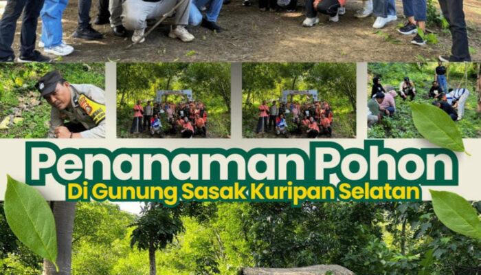 Penanaman Pohon DiGunung Sasak, UPTB UPPRD Samsat Gerung dan Desa Kuripan Selatan Serta Karang Taruna Dukung Program Gubernur NTB